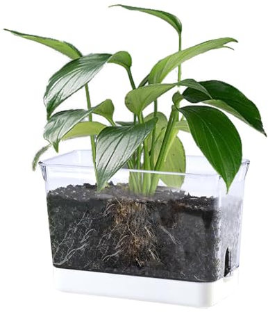 JIUJITSAW Semenzaio Autoirrigante Trasparente Professionale, Vassoi per Semi con Ventilazione Regolabile - Sistema Idrico Automatico per Piante, Mini Serra Interno (2 confezioni)