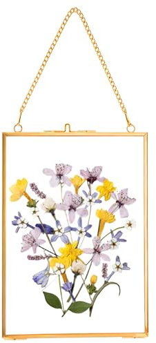 REDHUGO Hanging Pressed Flower Frames, Double Glass Floating Picture Frame Handmade, Glass Frame for Pressed Flowers, Vintage Brass Picture Frame for Artwork Wall Display Mount, Gold