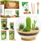 PYEF CRAFTS DIY Terrarium Kit for Succulent Plants & Cactus - Starter Set with Glass Bowl Included - Make your Own Terrarium Kit with Jar, Sand, Soil, Charcoal, Stones and Tools (Without Plants)