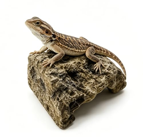 PacuM Escondite para Reptile Resina, 108 Piezas, para Acuario