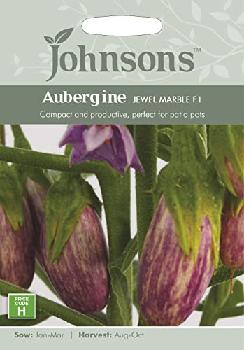 Mr Fothergill’s Seeds Ltd 35167 Aubergine Jewel Marble F1, Purple