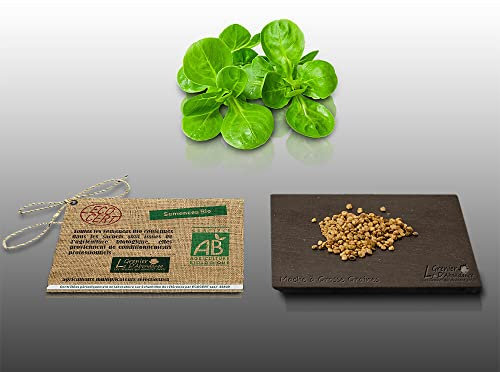 250 graines Bio à semer - Le Grenier d'Abondance - MACHE Doucette - Certifié AB - Valerianella locusta