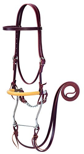 Weaver Latigo Leather Hackamore Set
