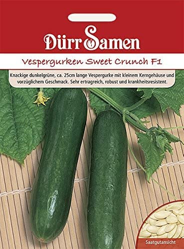 Vespergurken Samen Vesper Gurke Gurkensamen Sweet Crunch ca. 25 cm lang Samen Ertragreich Robust ca 15 Korn Saatgut Garten Balkon Hochbeet Kübel Dürr Samen