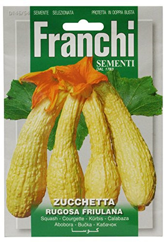 Franchi Courgette Rugosa Friulana