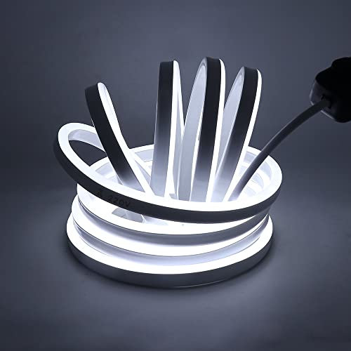 Striscia LED Neon 2835 Tubo LED Flessibile Impermeabile Luminosa 220V IP65 120 LED/M Corda Stringa Lampada con Alimentatore di rete e Dimmerazione manuale Controller,per Camera da Letto (8m, Bianco)