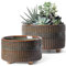 LE TAUCI Sukkulenten Topf, 16,5+20 cm Keramik Blumentopf für den Innenbereich mit Entwässerungslöchern, Moderner Zylindrischer Dekorativer Blumentopf, Geschenke für Mama, 2er-Set, Glasur Schwarz