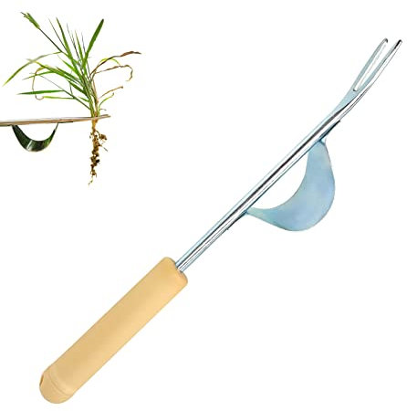 Qiuyan Stainless Steel Hand Weed Puller Long Handle Weed Remover Tool Y Shape Dandelion Weeder Fork Manual Root Weeding Tools for Garden Lawn Yard - 12.6