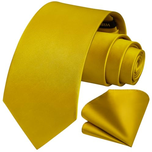 HISDERN Tie for Men Glod Tie and Pocket Square Set Classic Neck Ties for Wedding Party Business Work Neckties