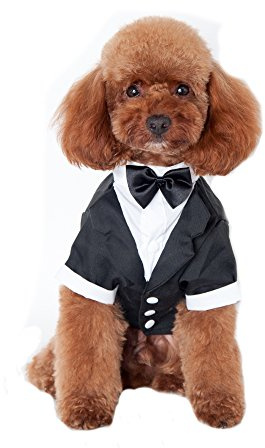 Keysui Mascotas Fiesta Traje Formal Traje Ropa Abrigo para Perros Ropa