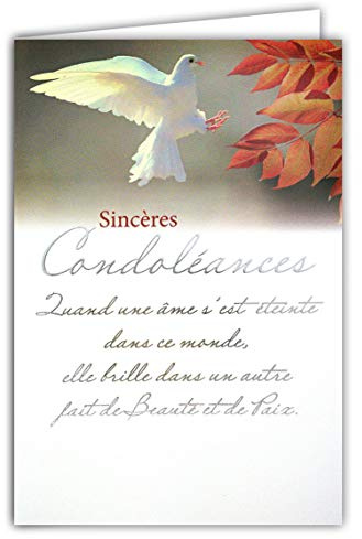 64-1073 Carte Sincères Condoléances avec Enveloppe Blanche - Décès et Deuil - Cérémonie Funéraire -Texte Argenté Qui Brille Colombe Paix Ame - Fabriquée en France