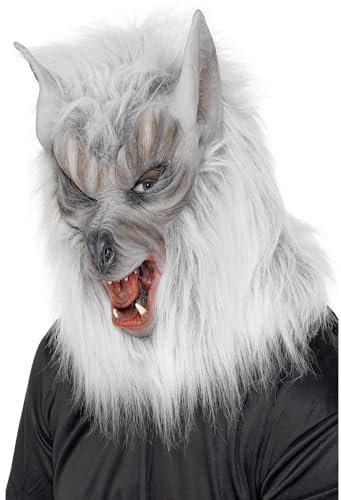 Smartwool Damen Socken Phd Ski Md Ptrn, Multicoloured, Einheitsgröße