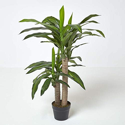 HOMESCAPES Large Artificial Dracaena Fragrans Tree 90 cm Tall with Wood Effect Trunk Replica Dragon Plant in Black Pot with Faux Moss Indoor Realistic Plant for Home or Office Decoration