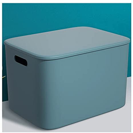 Scatola portaoggetti portatile in plastica colorata con coperchio, per casa, ufficio, scrivania, smistamento nizer per snack, giocattoli e articoli da cucina, blu, 25,4 x 36,1 x 23,9 cm
