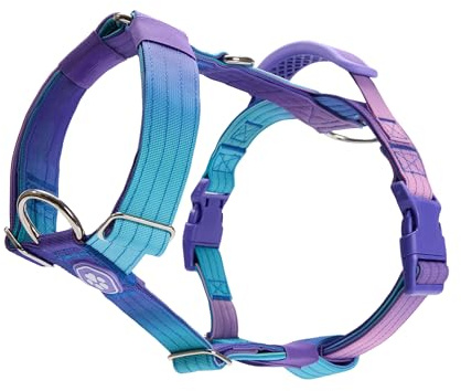 Spark Paws No Pull Dog Harness with Handle for Large Dogs, Heavy Duty Dog Harness for Big Strong Breeds, Adjustable, Y Shaped Padded Halter Design with Front Clip - 90s Retro - L