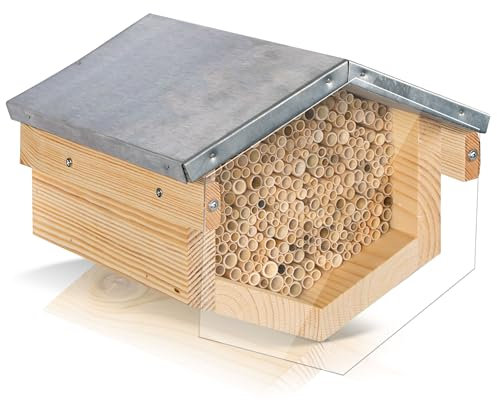 Beesi Wildbienenhotel mit Vogelschutz I Dach wetterfest I Nisthülsen aus Bambus I hochwertiges Insektenhotel I ohne Splitter mit Acrylgrlas Vogelschutz (Schilf - Für kleinere Bienen, Brown)