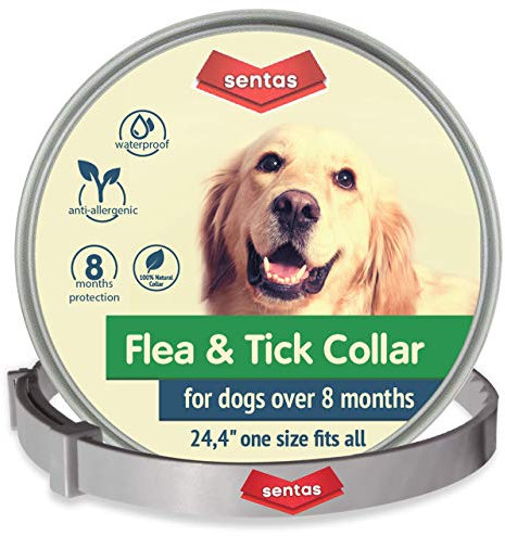 Wuxal Universaldünger, 1 Liter