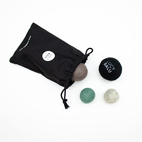 LucyBalu® Joy Bag Lot de 4 balles en Feutre pour Chat I Coloré