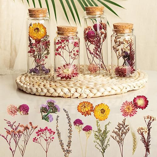 LAUMOE 4er Set Trockenblumen im Glas, Pflanzen im Glas, Trockenblumen, Getrocknete Blumen Trockenblumen Klein Trockenblumen Set für DIY Zubehör Handgemachte Heimdekoration Hochzeit