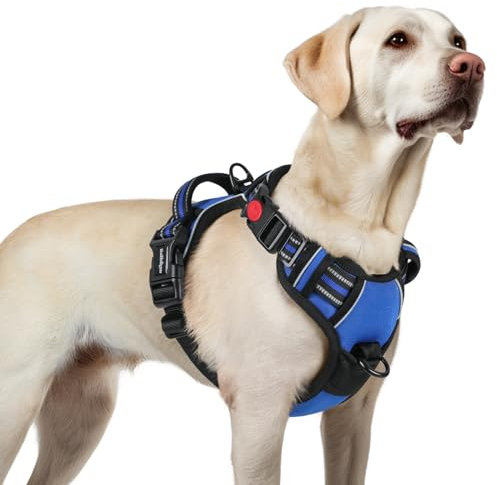rabbitgoo Hundegeschirr Grosse Hunde, Verstellbare Geschirr Hund ohne Zug & Würgen, Anti Zug hundegeschirr mit Griff, weich Gepolsterte Reflektierende Brustgeschirr, Blau L