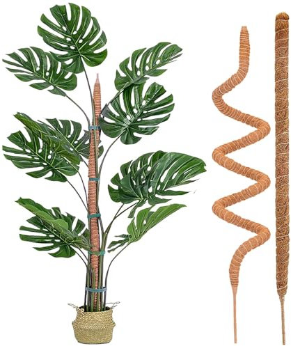 2 Pièces Tuteur Plante Interieur,Tuteur Plante Grimpante,Tuteur Monstera, Grimpante Support pour Plante Monstera pour Maison Jardin De Plante