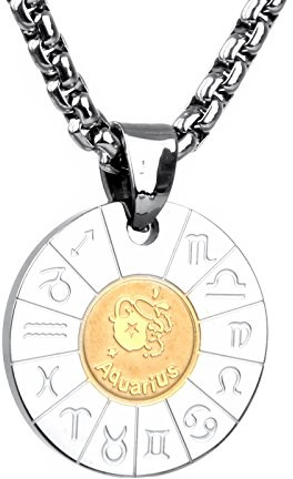 COPAUL Schmuck Edelstahl Tierkreis Sternzeichen Wassermann Anhänger Kette Halskette für Herren Damen, Gold Silber