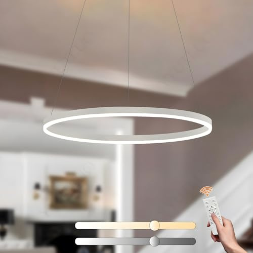 YYUTLUO Lampadario LED Moderno DIY Cerchio | 1 Bianco Anelli :60cm=29W | Illuminazione A Sospensione LED In Metallo+Acrilico Telecomando Dimmerabile Lampada Sospensione Soffitto Rotondo Soggiorno