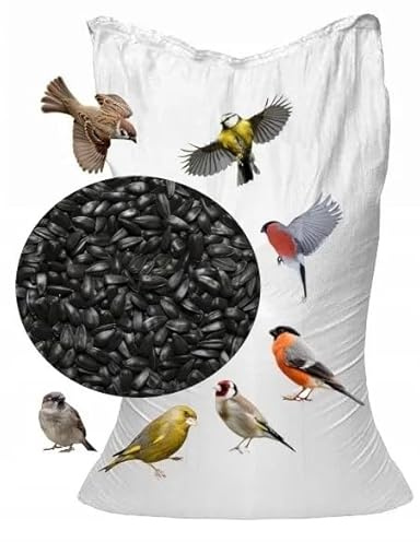 Green Hobby Semi di girasole, nero, 15 kg, mangime per uccelli