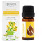 Essences Bulgaria Olio Essenziale di Erba di San Giovanni Biologico 10 ml | Iperico perforato | 100% Puro e Naturale | Non Diluito | Grado Terapeutico | Fattoria a Conduzione Familiare | Non OGM