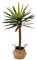 Huhaneon 2.6FT Artificial Tree Dracaena Faux Plant House Plants Evergreen Dracaena Marginata Fake Yucca Palm Trees in Pot Realistic Dragon Tree for Living Room Home Office Decor