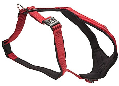 Wolters Cat&Dog Professional Comfort 62440 Geschirr Gr.6 80-95cm x 35mm rot/schwarz