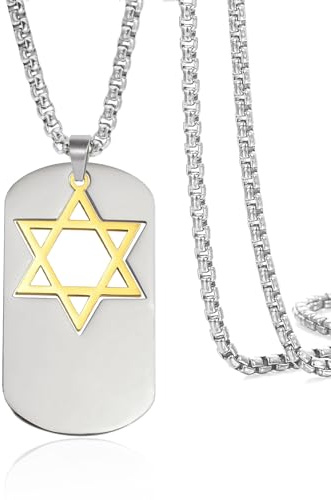 VASSAGO Collana da uomo a forma di stella di David, ciondolo a forma di scudo ebraico, in acciaio inox, con esagono, targhetta per cani (Stella di Davide d'oro su quadrato d'argento)