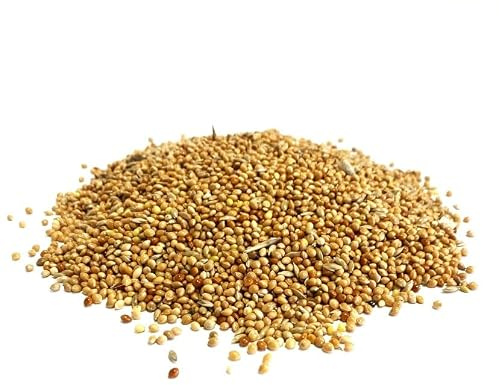2.5 Litre Budgie Seed Mixed Cage & Aviary Bird Food (approx weight 1.5kg)