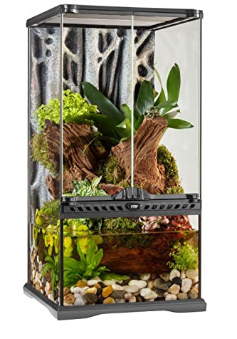 Exo Terra Pt2595 - Terrario (30 x 30 x 60 cm)