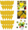 QOMJUFA 15 PCS piege a mouche, anti moucherons interieur, piege moucherons interieur, Pièges à Insectes, Anti Moucheron Plante pour Plante Fleur Fruits