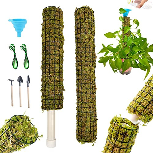 Voiakiu Musgo para Plantas trepadoras,Postes apilables para Plantas Interior con riego automático | Palos Soporte para Plantas Monstera para Scindapsus, Plantas en Maceta, Plantas