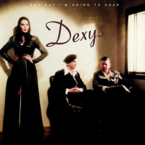 One Day I'm Going to Soar [VINYL]