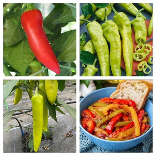 Semi di Peperoncino Hungarian, 30 Semi, Piccantezza Media, per Coltivazione in Vaso e Orto