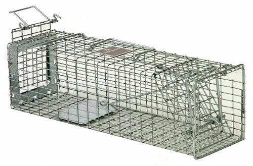 Safeguard Model 52818 Live Cage Trap Rear Release 18 x 5 x 5 for squirrels, rats, muskrats
