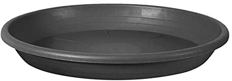 Veca Soucoupe cylindrique de 32 cm, anthracite, pour pot de fleurs de 35 cm