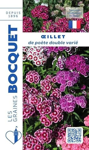 Sachet de graines de Oeillet de poète double varié - 1,5 g - fleur bisannuelle - LES GRAINES BOCQUET