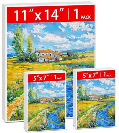 MicoSim 3er Pack gestreckte Leinwand für Malerei, 28x35.5 cm & 12.7x17.8 cm, Acryl, Baumwolle & Kiefernholz, für Erwachsene & Kinder, mit Farbe Tabletts & Pinsel