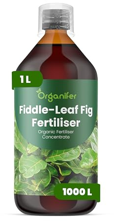 Organiskt flytande gödsel 1L för Fiolblad – frodiga blad och hälsosam blomning - Organifer