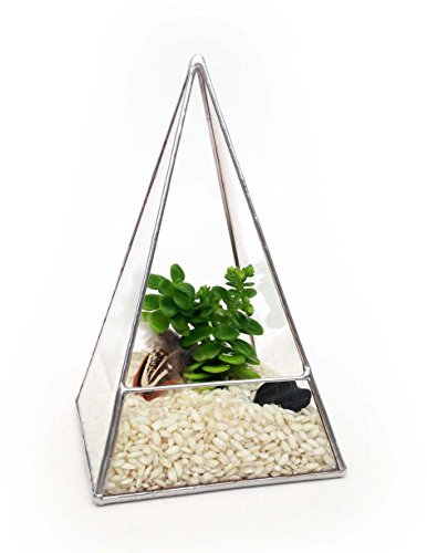 Pyramid Geometric Glass Terrarium Handmade Modern Planter Indoor Gardening Handmade