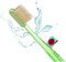 Mizuha Smart Miswak ionische Zahnbürste mit Siwak Pulver. Zähneputzen mit und ohne Zahnpasta. Schwarz, Wiederverwendbar, Manuell, Erwachsene, Unisex