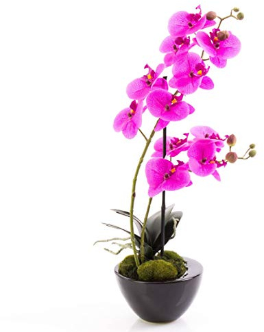 artplants.de Orchidée Phalaenopsis Artificielle Melina dans Une Coupe, 2 tiges, Violet, 45cm - orchidée Artificielle - Fleur Artificielle