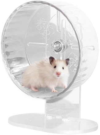 Tyst hamsterhjul – genomskinliga träningshjul, gerbil-leksaker, höjdjusterbara hamstertillbehör, husdjurstillbehör för gerbil, igelkott, små djur