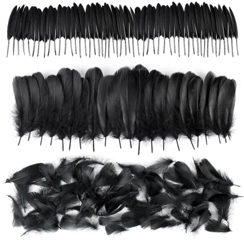 ZALAON Halloween Black Feathers,250 Pieces Natural Goose Feathers for Crafts DIY Weddings Gift Boxes Filling