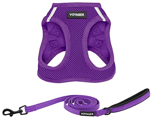 Best Pet Supplies – Voyager Step-in Air – Harnais en Maille résistante aux intempéries pour Chats de Petite et Moyenne Taille – Ensemble Harnais et Laisse (Violet), Taille XXS