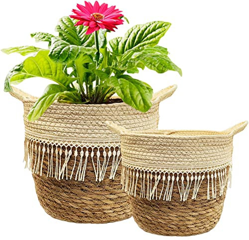 KMERCE Cesta Grande para Plantas de Interior, 2 cestas de Flores Trenzadas de Hierba Marina, Maceta Boho con Asas, Cesta de Almacenamiento, 20 cm y 25 cm de diámetro